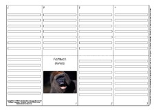 Faltbuch-Gorilla-1.pdf